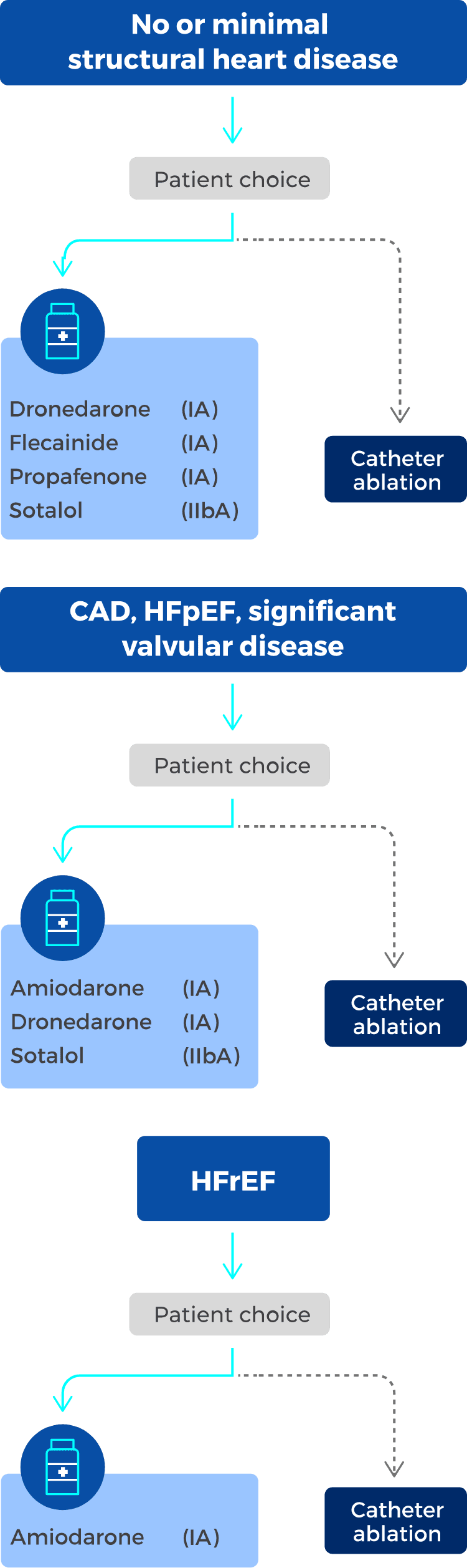 Chart showing guideline recommendations both for those with and without structural heart disease, CAD, or HFpEF.