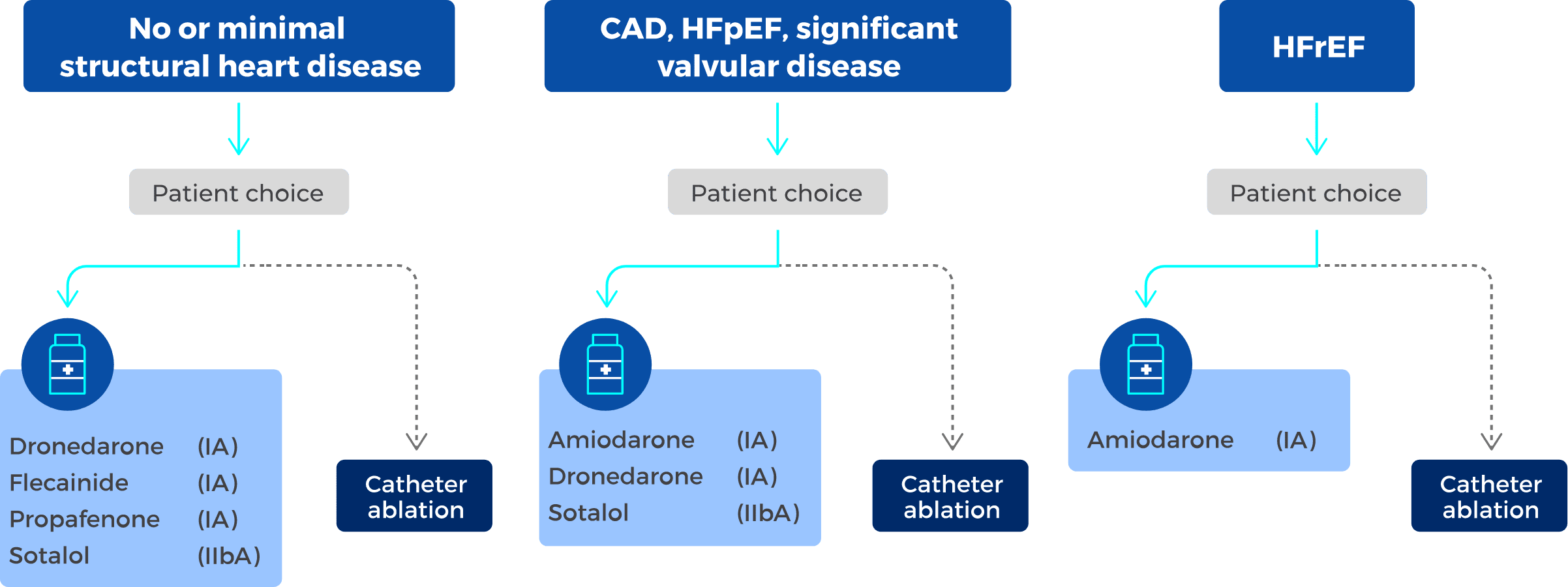 AFib Guidelines AHA/ACC/HRS & ESC MULTAQ® (dronedarone) Tablet 400 mg